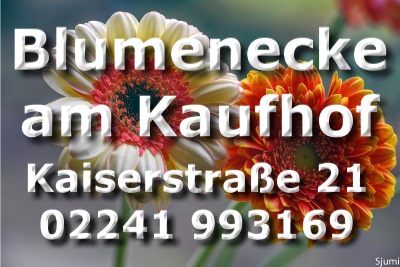 Logo Blumenecke am Kaufhof